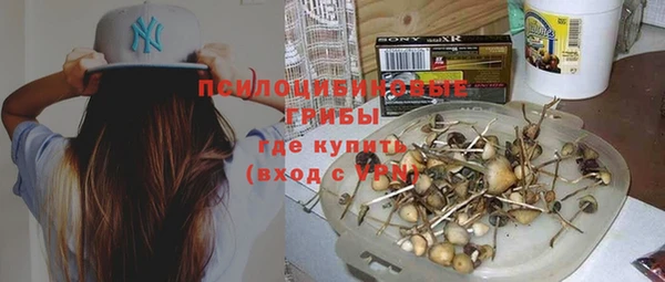 тгк Аркадак