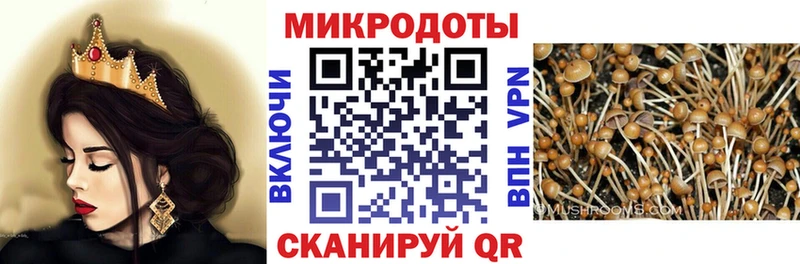как найти наркотики Ессентуки Псилоцибиновые грибы мицелий
